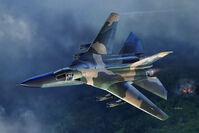 General Dynamics F-111 A - Vietnam War - Image 1