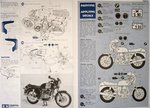 2_tam16008_7.jpg
